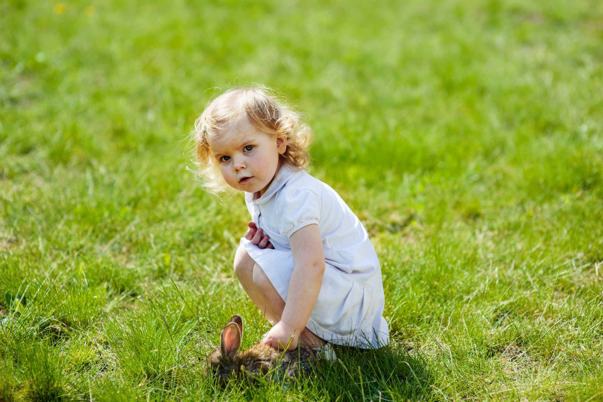 child with a rabbit